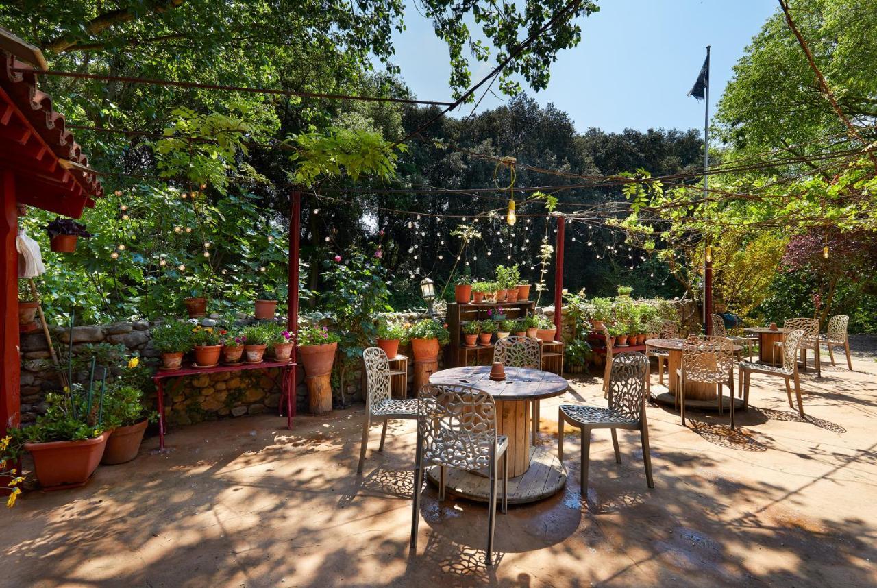 B&B Mas Torrencito Pet Friendly Parets de Ampurdá Exterior foto